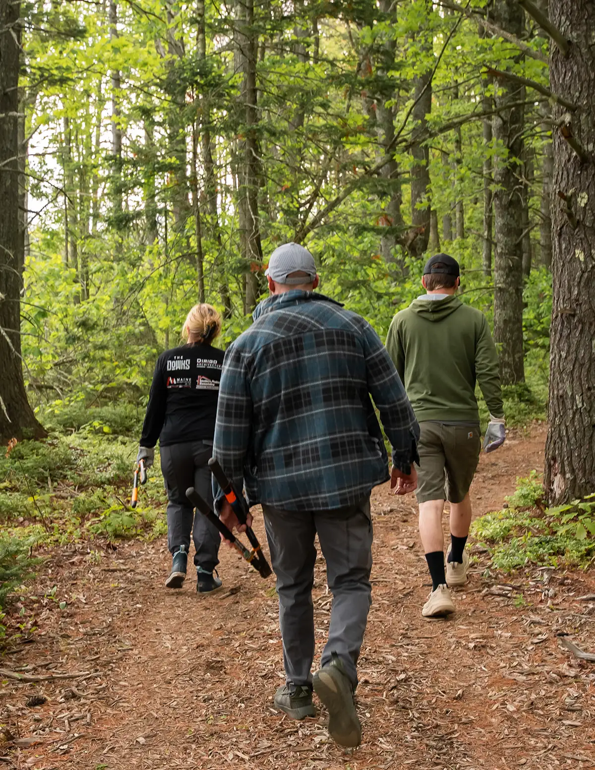 people walking in forest