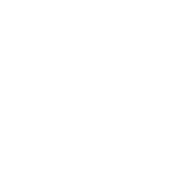 linkedin icon